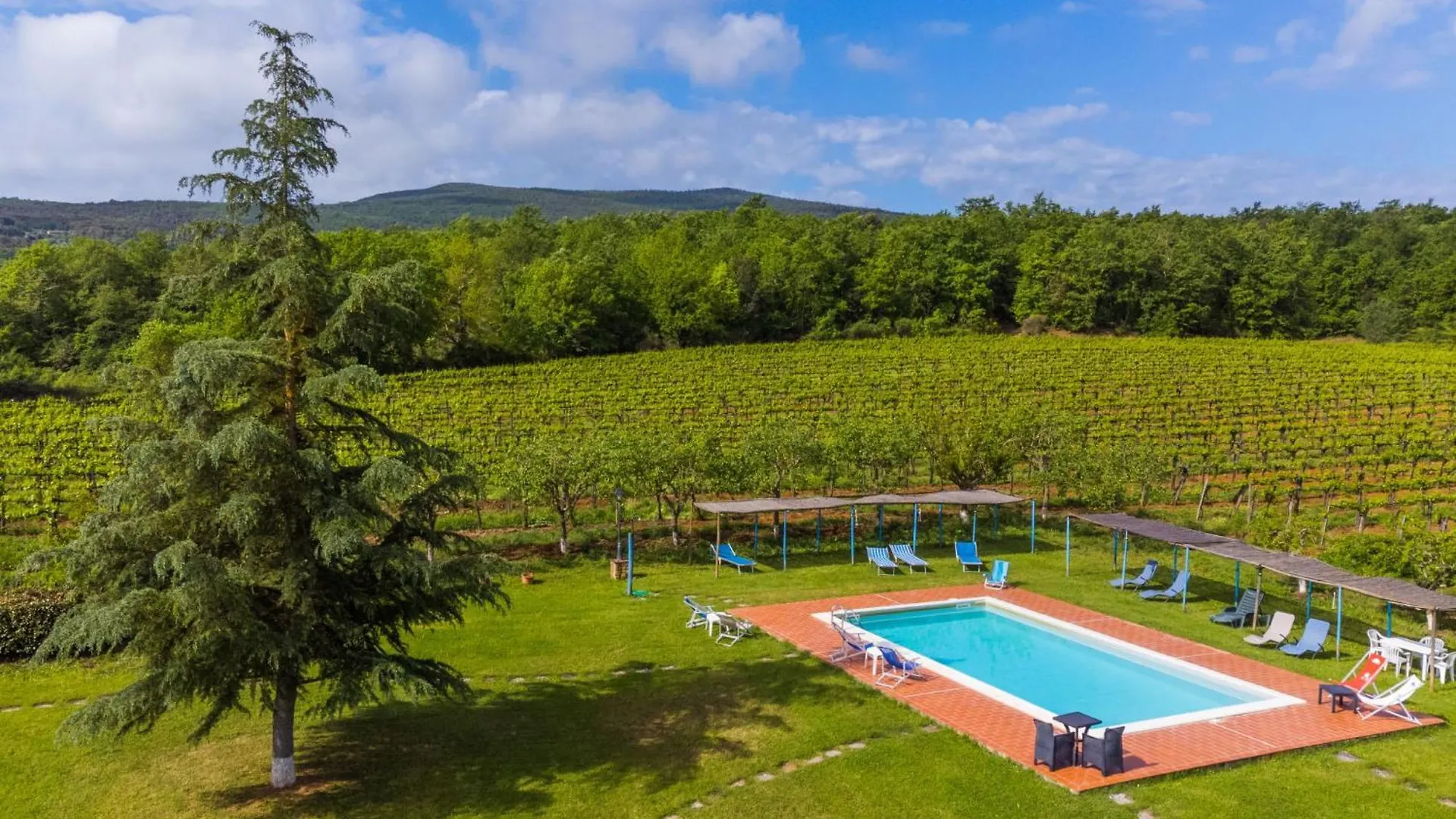 Apartment Fattoria Petraglia - Di Mezzo - Mtg202 By Interhome Monteriggioni